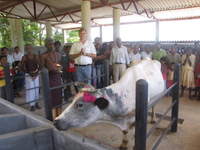 Respect for our animals